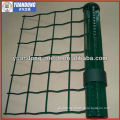 Euro fence(ISO 9001 factory price)